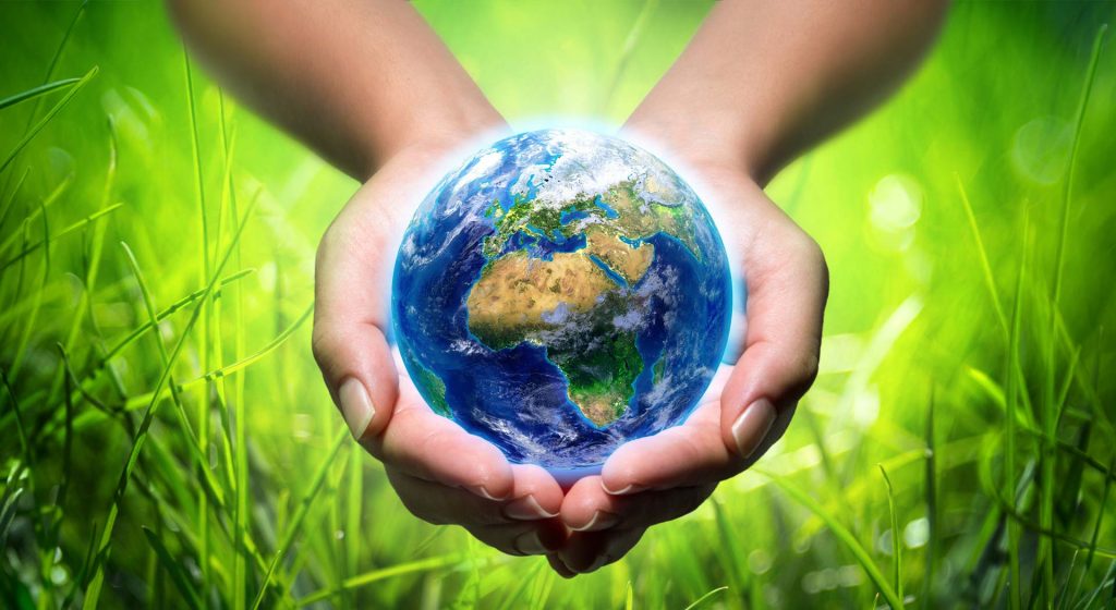 რა არის გარემო და ეკოლოგია?