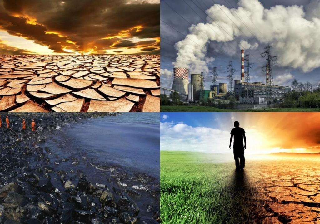 რას ნიშნავს ეკოლოგიური ბალანსი?